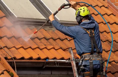 Démoussage et hydrofuge de toiture à Écully